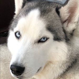 Meet your Posher, Christine